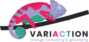 Variaction logo